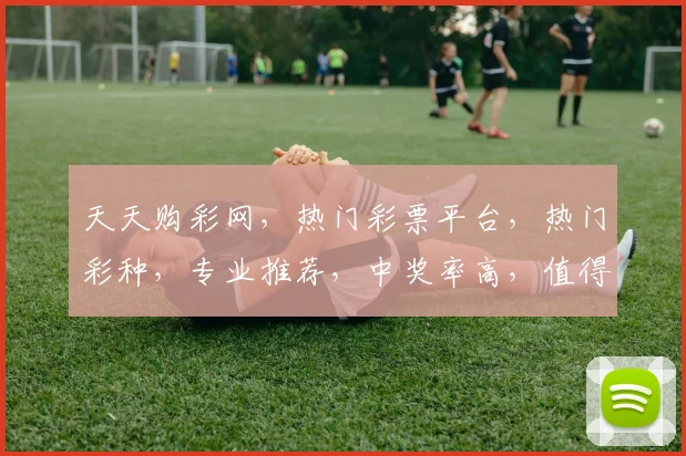 天天购彩网，热门彩票平台，热门彩种，专业推荐，中奖率高，值得信赖，三重保障，安全可靠，购彩首选