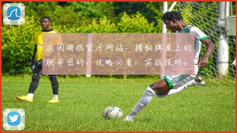 庄闲游戏官方网站，揭秘牌桌上的胜率密码，攻略必看，实战技巧，一网打尽